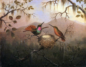  Martin Johnson Heade Two Hummingbirds at a Nest - Canvas Art Print