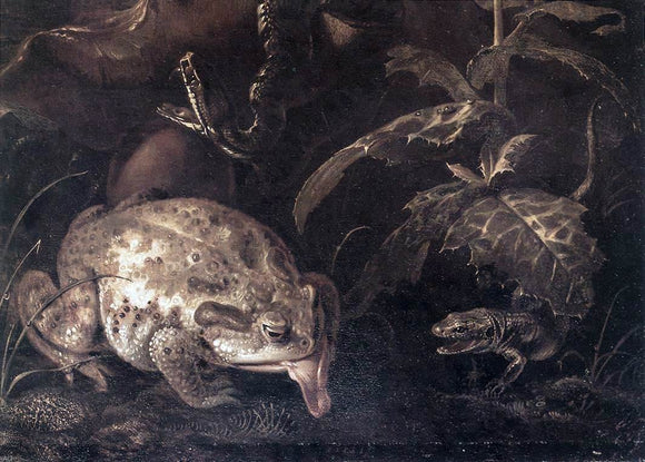  Otto Marseus Van Schrieck Still-Life with Insects and Amphibians (detail) - Canvas Art Print