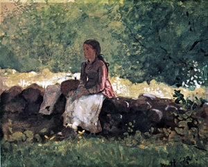  Winslow Homer On the Fence - Canvas Art Print