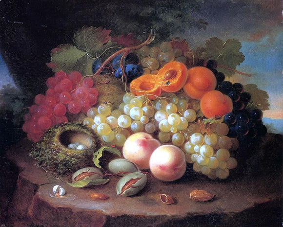  George Forster Still Life with Fruit and Bird's Nest - Canvas Art Print