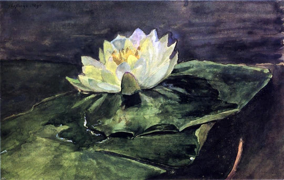  John La Farge Water Lily - Canvas Art Print