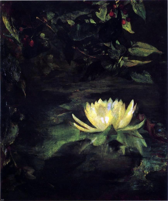  John La Farge Water Lily (also known as Lotus Leaves) - Canvas Art Print