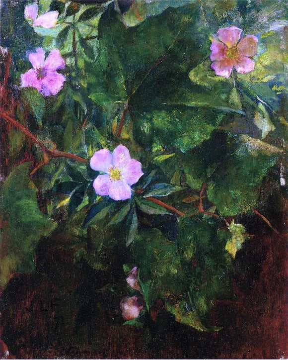  John La Farge Wild Roses and Grape Vine, Study from Nature - Canvas Art Print