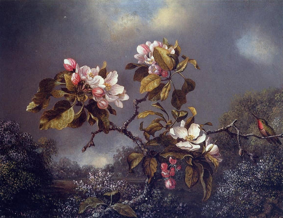 Martin Johnson Heade Apple Blossoms and Hummingbird - Canvas Art Print
