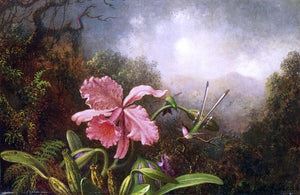  Martin Johnson Heade Two Hummingbirds by an Orchid - Canvas Art Print