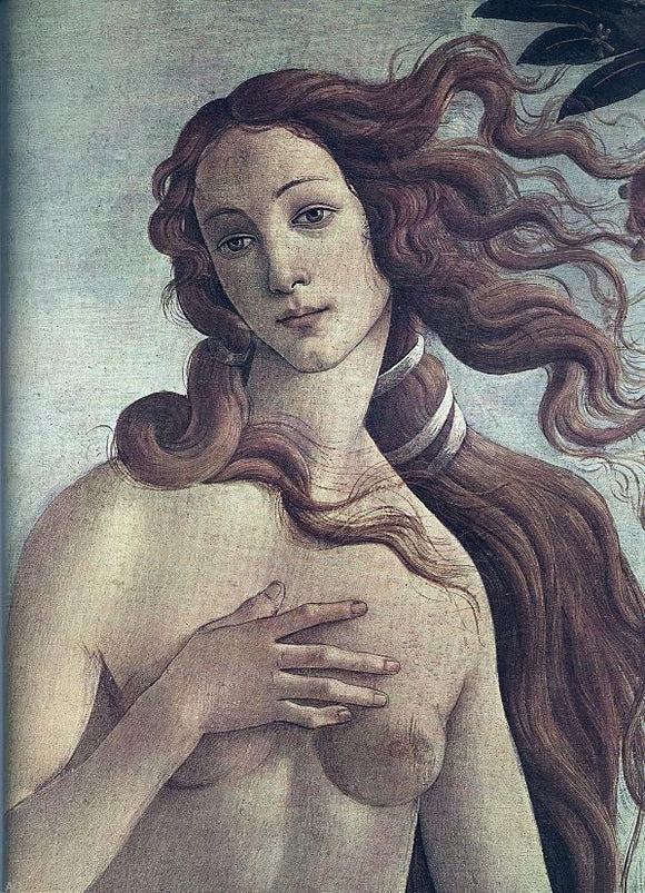  Sandro Botticelli The Birth of Venus [detail] - Canvas Art Print