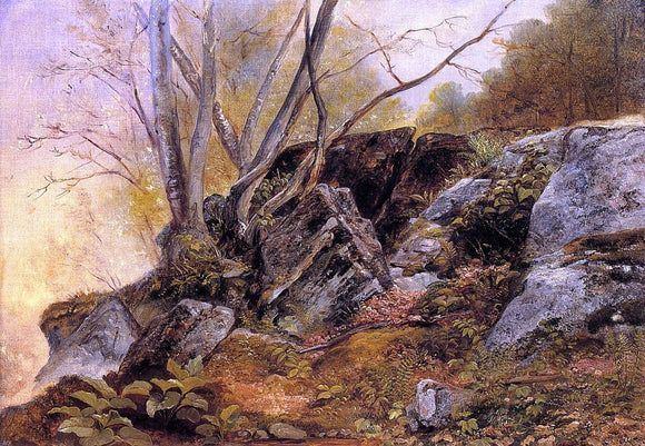  Asher Brown Durand Study in the Woods - Canvas Art Print