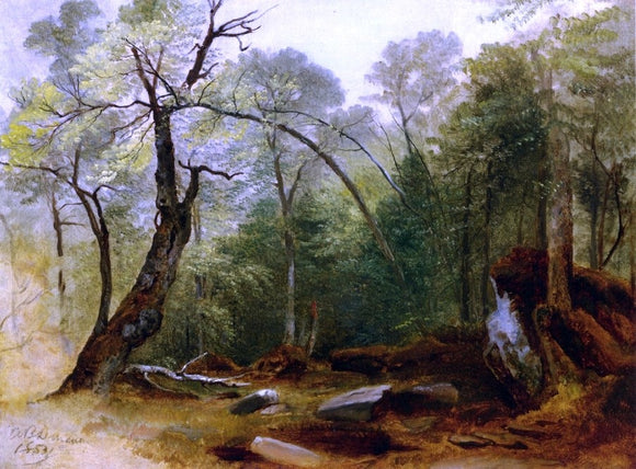 Asher Brown Durand Study of Trees, Marbletown, N.Y. - Canvas Art Print