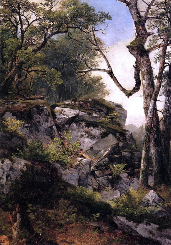  Asher Brown Durand Woodland Stream - Canvas Art Print