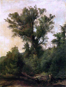  Asher Brown Durand A Stream in the Wood - Canvas Art Print