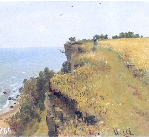  Ivan Ivanovich Shishkin Near coast of Gulf of Finland (study) - Canvas Art Print