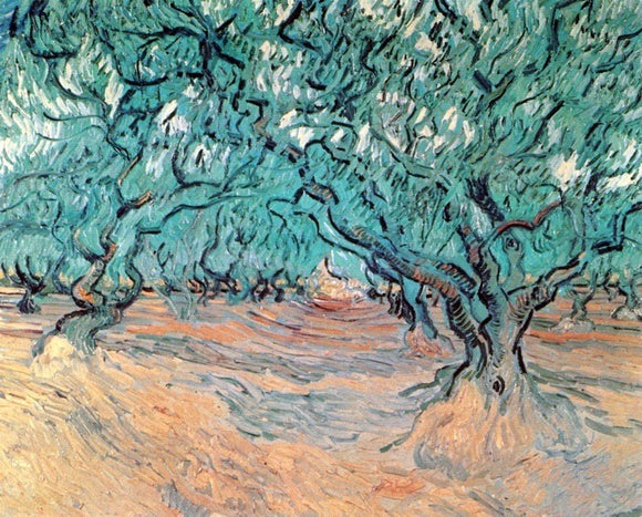  Vincent Van Gogh Olive Trees - Canvas Art Print