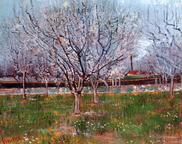  Vincent Van Gogh Orchard in Blossom (also known as Plum Trees) - Canvas Art Print