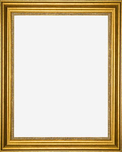 Designer Gold Picture Frame, 3" wide