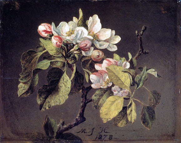  Martin Johnson Heade A Branch of Apple Blossoms and Buds - Canvas Art Print