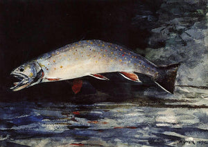  Winslow Homer A Brook Trout - Canvas Art Print