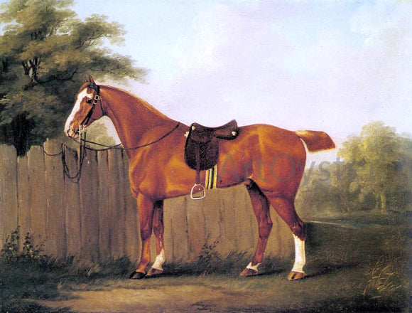  John Nost Sartorius A Chestnut Hunter Tethered to a Fence - Canvas Art Print