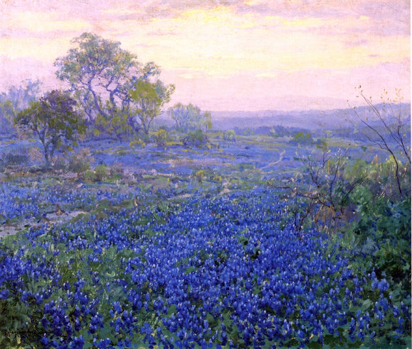  Julian Onderdonk A Cloudy Day, Bluebonnets near San Antonio, Texas - Canvas Art Print