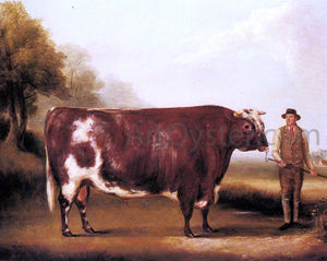  William Davis A Dark Roan Bull - Canvas Art Print