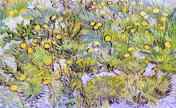  Vincent Van Gogh Field of Yellow Flowers - Canvas Art Print