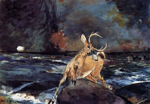 Winslow Homer A Good Shot, Adirondacks - Canvas Art Print