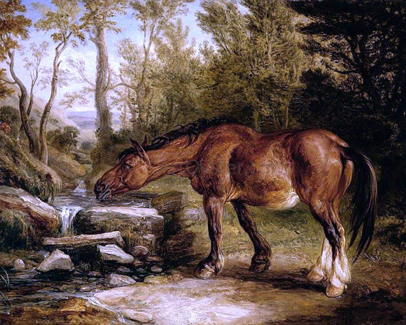  James Ward A Horse Drinking at a Stream - Canvas Art Print