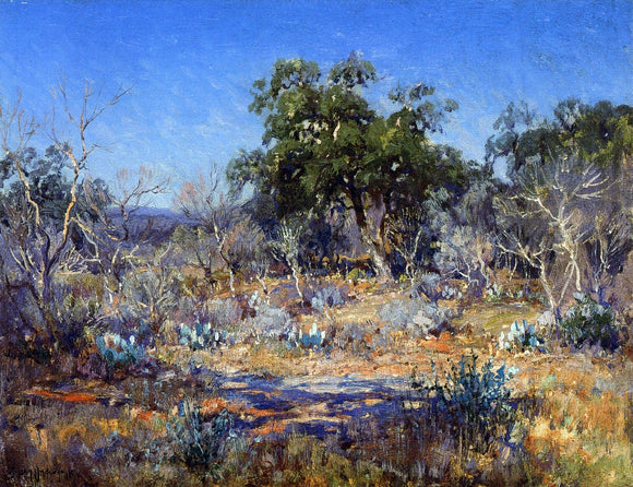  Julian Onderdonk A January Day in the Brush Country - Canvas Art Print