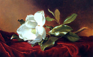  Martin Johnson Heade A Magnolia on Red Velvet - Canvas Art Print