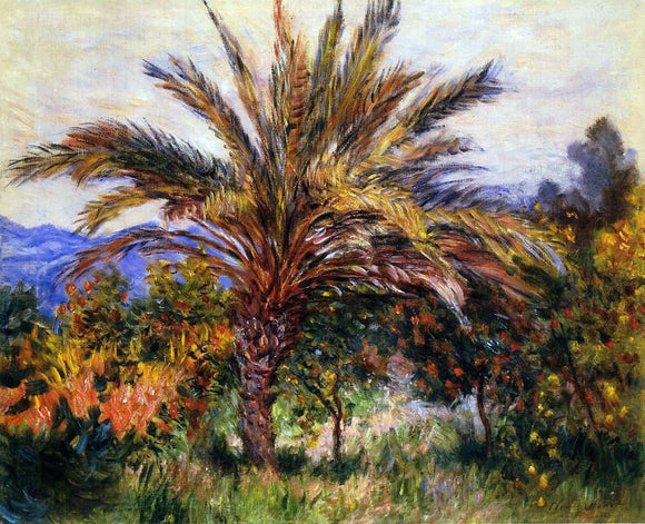  Claude Oscar Monet A Palm Tree at Bordighera - Canvas Art Print