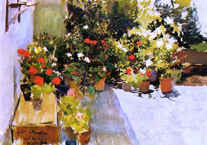  Joaquin Sorolla Y Bastida A Rooftop with Flowers - Canvas Art Print
