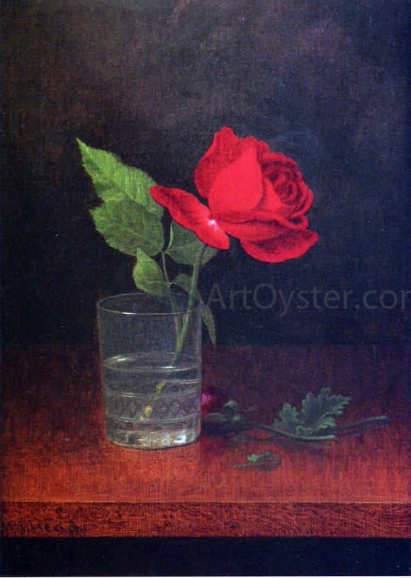  Martin Johnson Heade A Single Rose in a Glass - Canvas Art Print