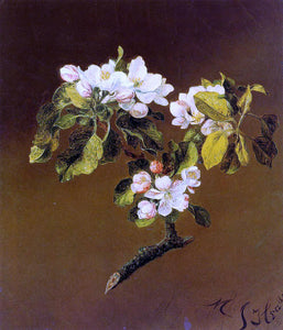  Martin Johnson Heade Spray of Apple Blossoms - Canvas Art Print