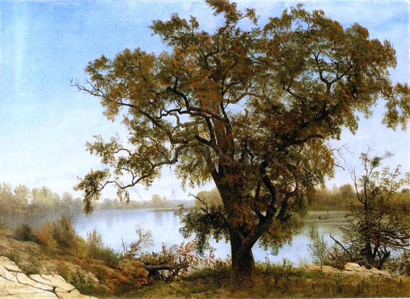  Albert Bierstadt A View from Sacramento - Canvas Art Print