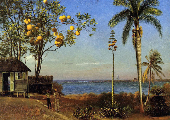  Albert Bierstadt A View in the Bahamas - Canvas Art Print
