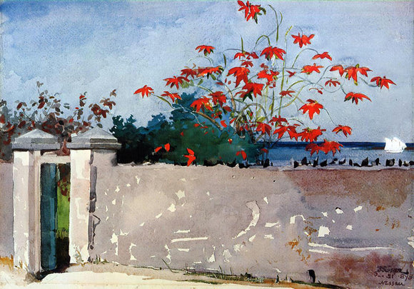  Winslow Homer A Wall, Nassau - Canvas Art Print