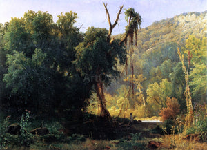  Jacobus Nicolaas Tjarda Starckenborgh  Van Stachouwer A West Virginia Forest - Canvas Art Print