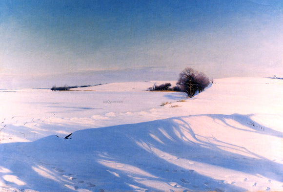  Sigvard-Marius Hansen A Winter Morning - Canvas Art Print