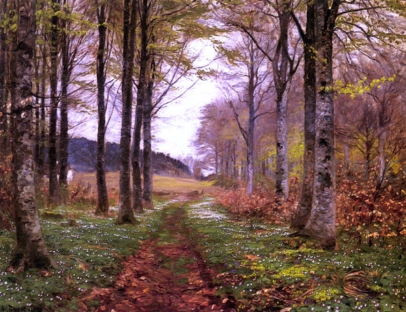  Hans Anderson Brendekilde A Woodland Landscape - Canvas Art Print