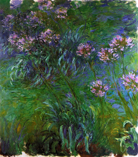  Claude Oscar Monet Agapanathus - Canvas Art Print