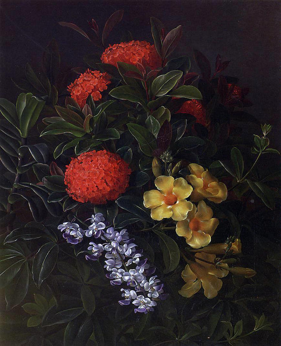  Johan Laurentz Jensen Allemanda, Ixora and Orchids - Canvas Art Print