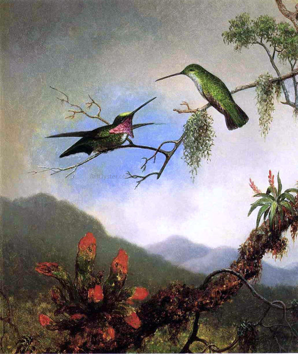  Martin Johnson Heade Amethyst Hummingbirds - Canvas Art Print