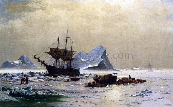  William Bradford Among the Ice Floes - Canvas Art Print