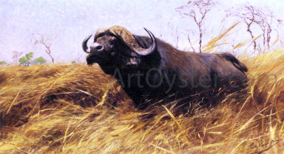  Wilhelm Kuhnert An African Buffalo - Canvas Art Print