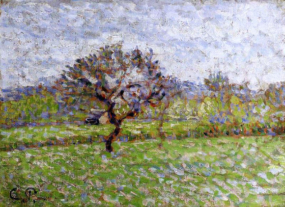  Camille Pissarro An Apple Tree at Eragny - Canvas Art Print