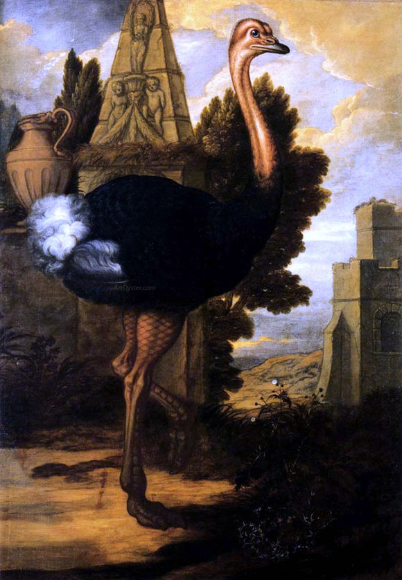  Francis Barlow An Ostrich - Canvas Art Print