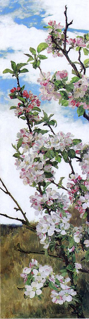  Alfred R.A. P.R.W.S. Apple Blossoms - Canvas Art Print