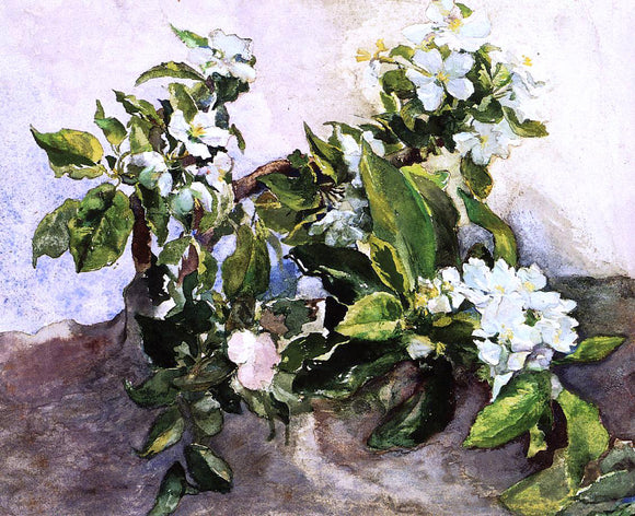  John La Farge Apple Blossoms - Canvas Art Print