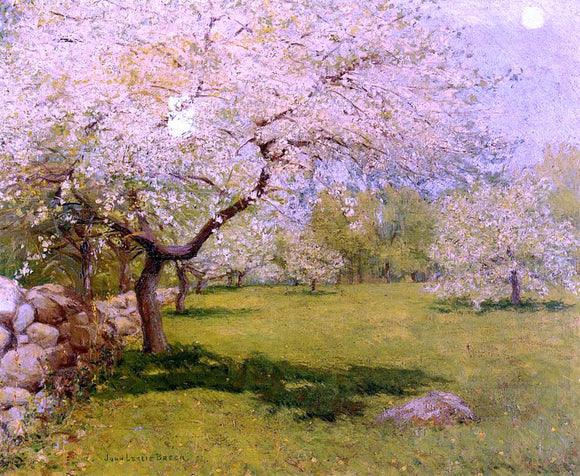  John Leslie Breck Apple Blossoms - Canvas Art Print