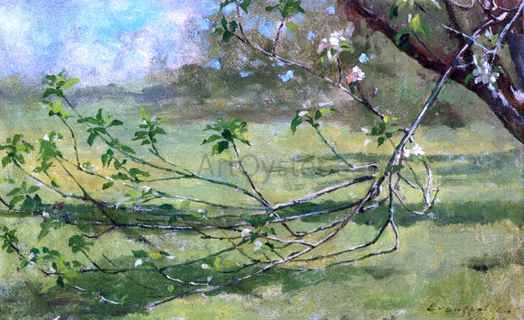  Theodore Robinson Apple Blossoms - Canvas Art Print