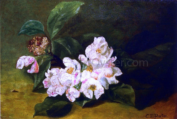 Charles Ethan Porter Apple Blossoms on a Ledge - Canvas Art Print